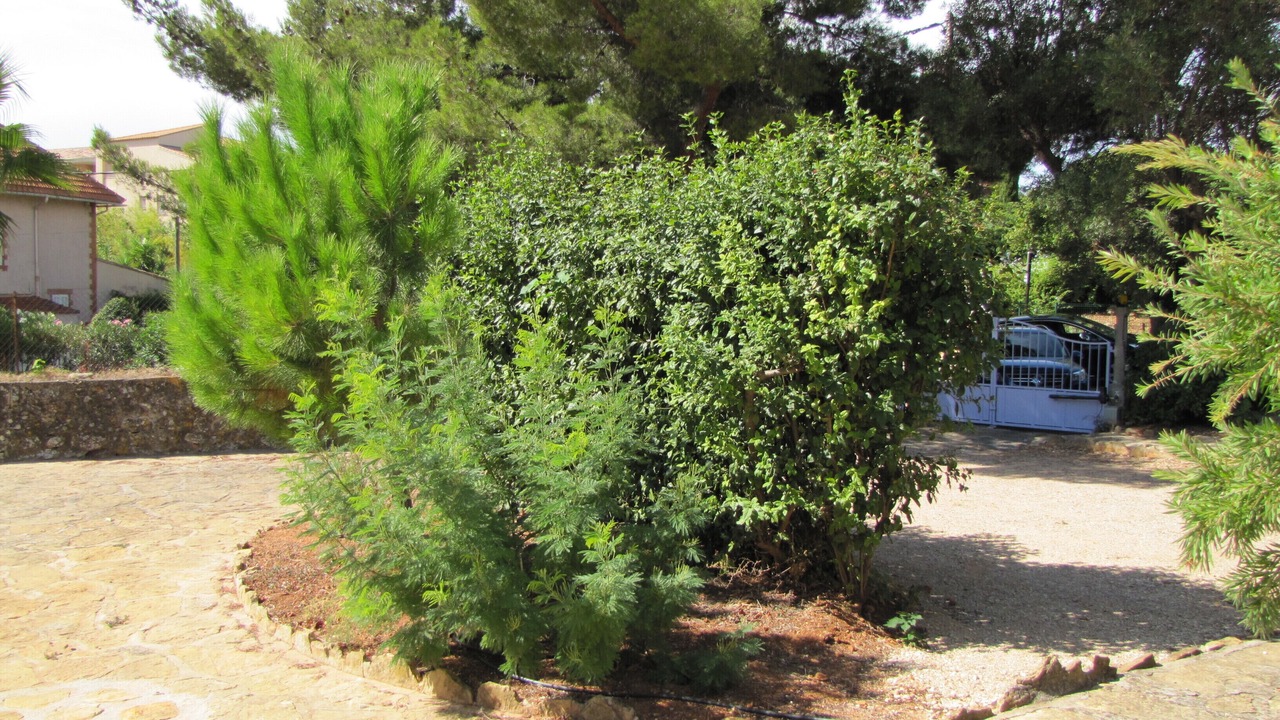 Photo of Outdoor in Bandol
