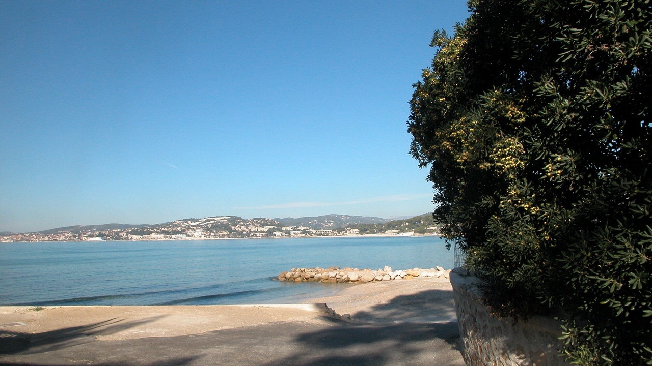 Photo of Others in Bandol