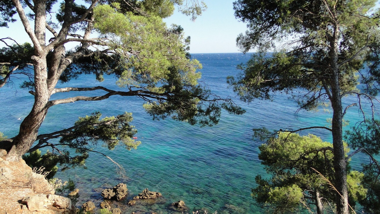 Photo of Others in Bandol