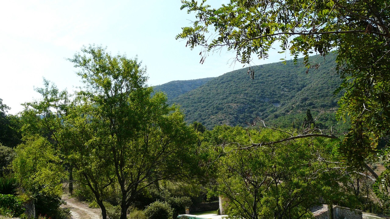Photo of Outdoor in Lacoste