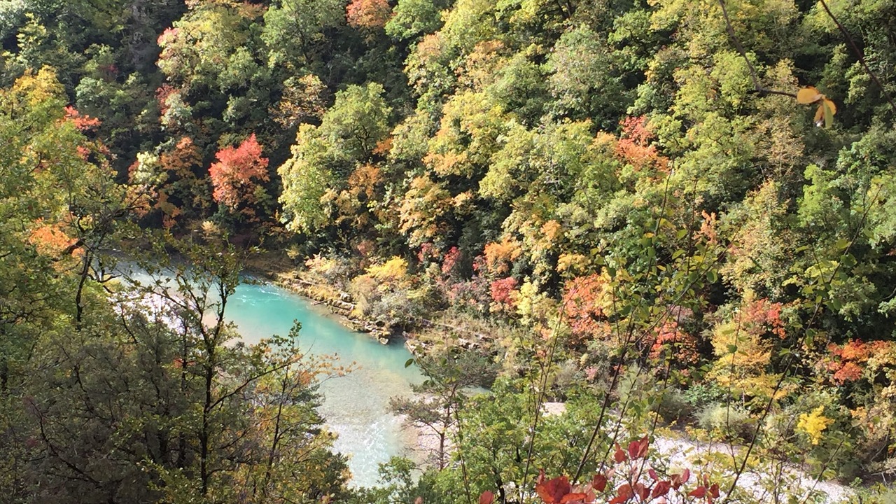 Photo of Outdoor in Plan-de-la-Tour