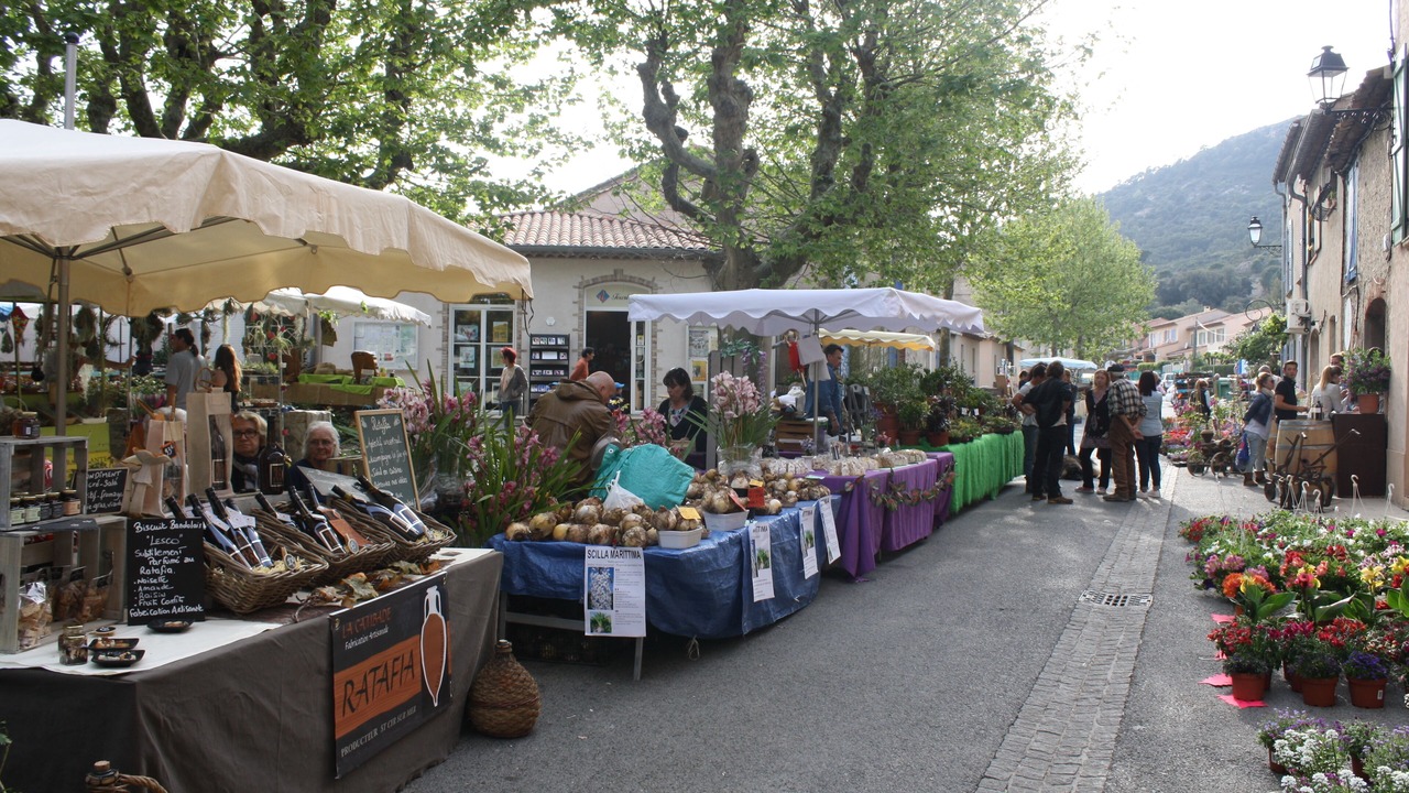 Photo of Outdoor in Plan-de-la-Tour
