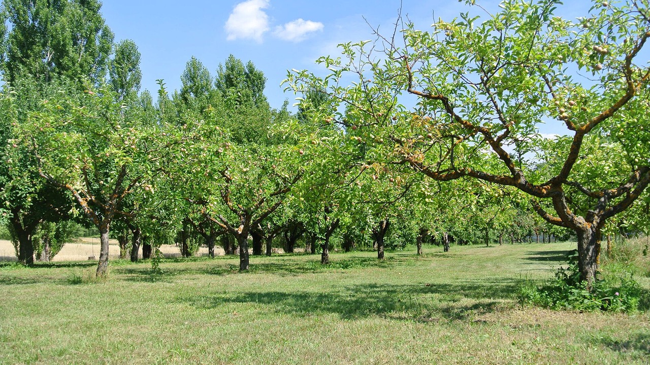 Photo of Outdoor in Forcalquier