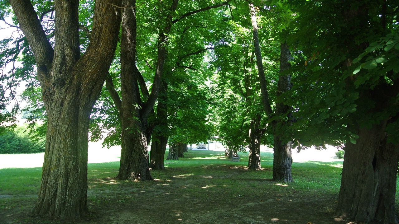 Photo of Outdoor in Forcalquier