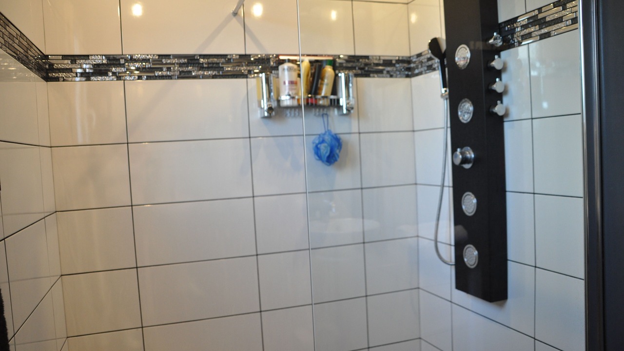 Photo of Bathroom in Mondragon