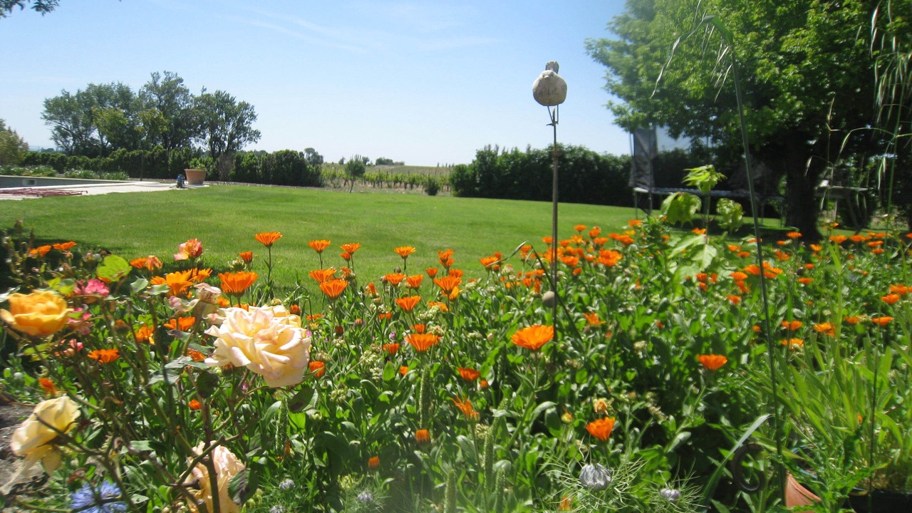 Photo of Outdoor in Courthezon