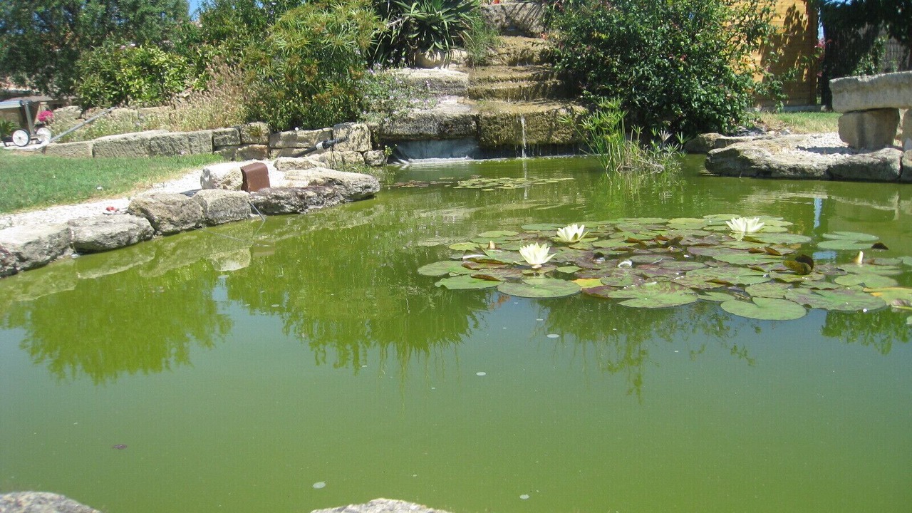 Photo of Outdoor in Courthezon