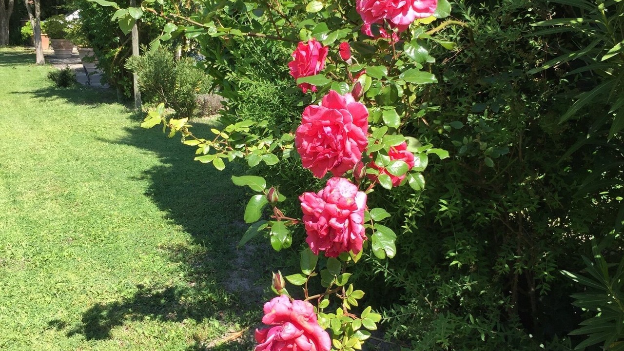 Photo of Outdoor in Velleron