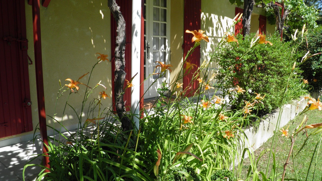 Photo of Outdoor in Velleron