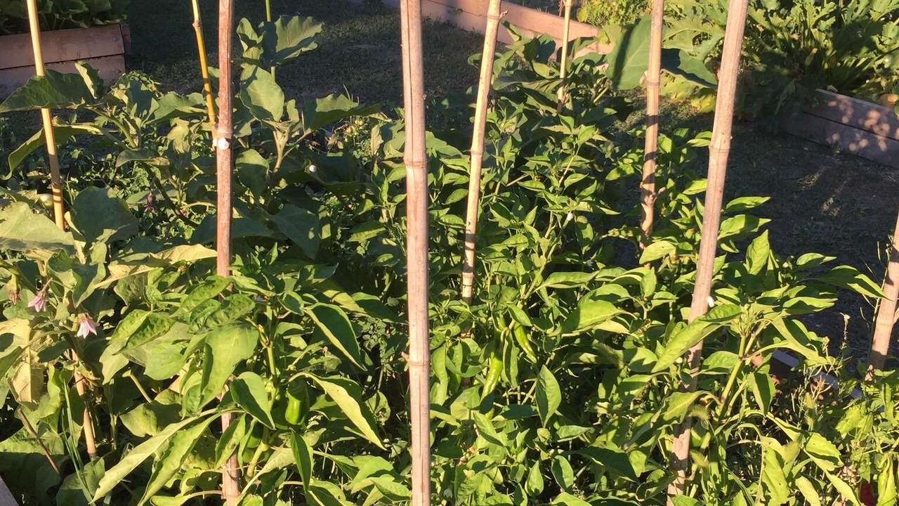 Photo of Outdoor in Velleron