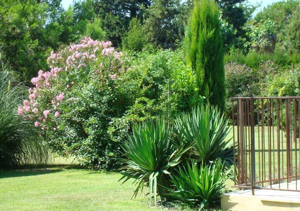 Photo of Outdoor in Velleron