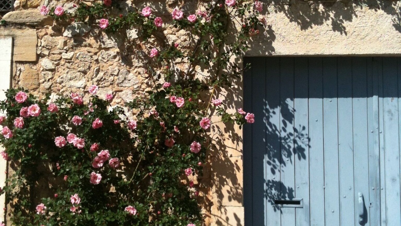 Photo of Outdoor in Le Barroux