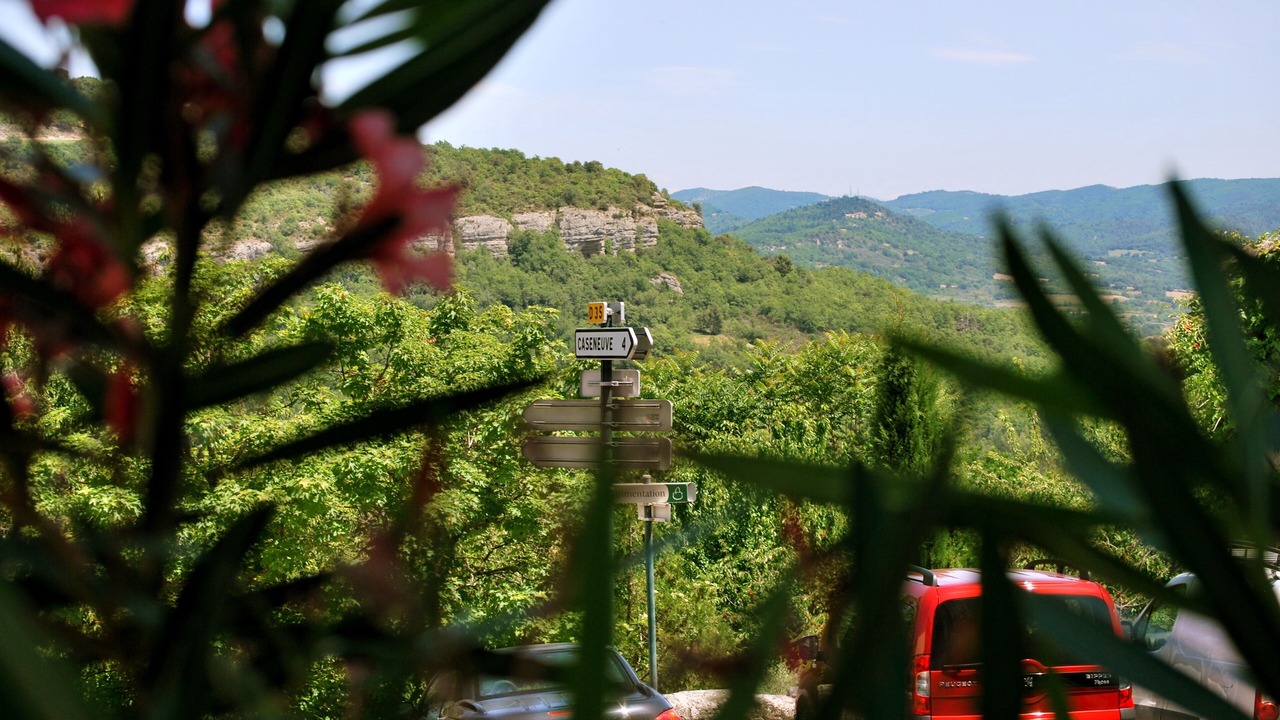 Photo of Others in Saint-Martin-de-Castillon