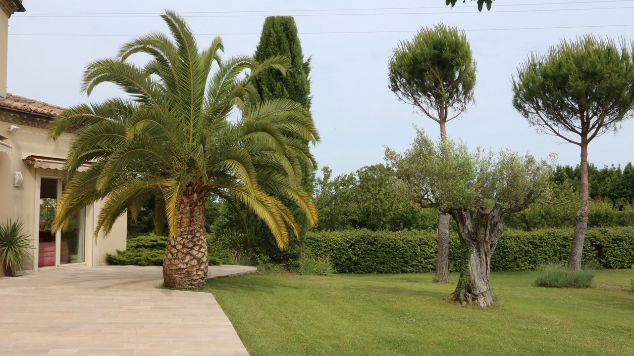 Photo of Outdoor in Meynes