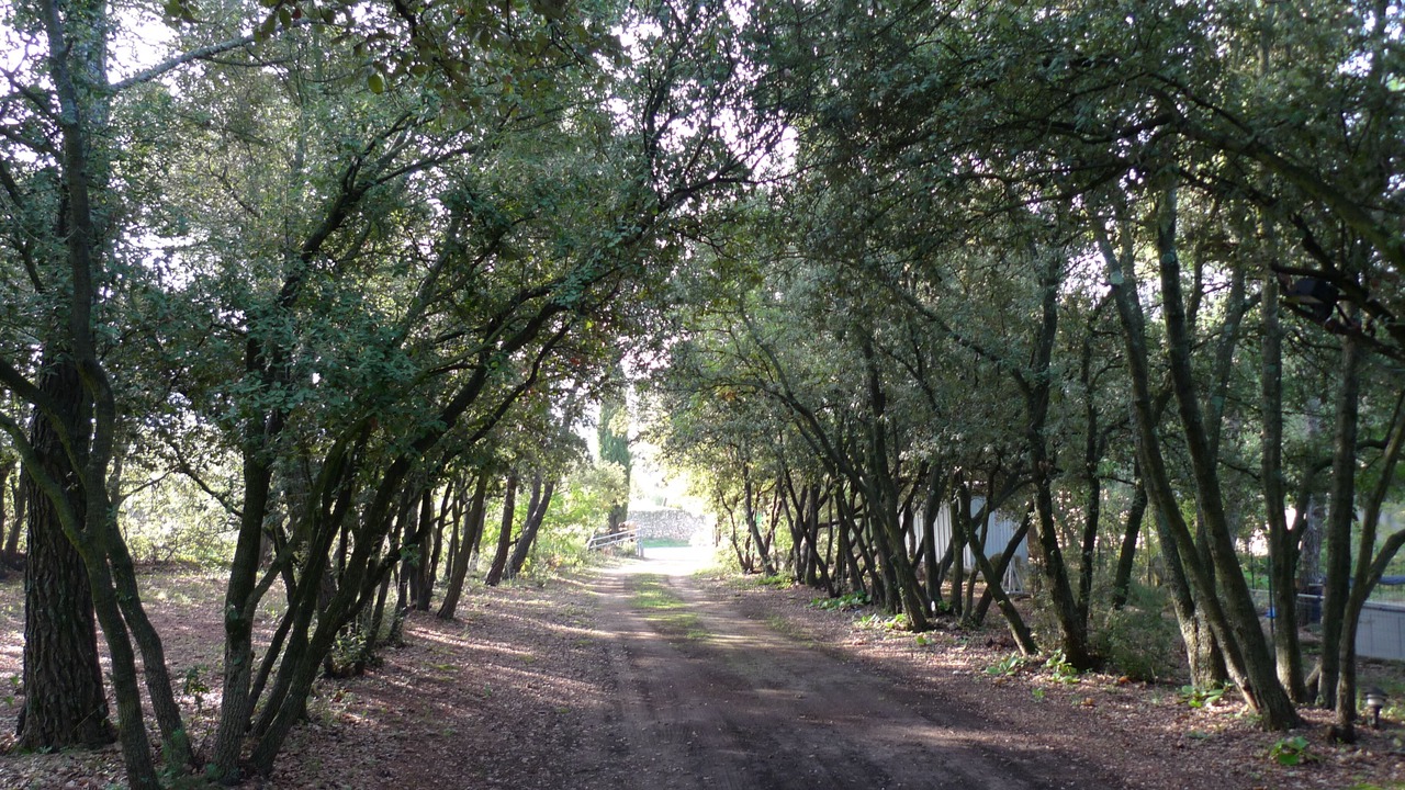 Photo of Outdoor in Menerbes