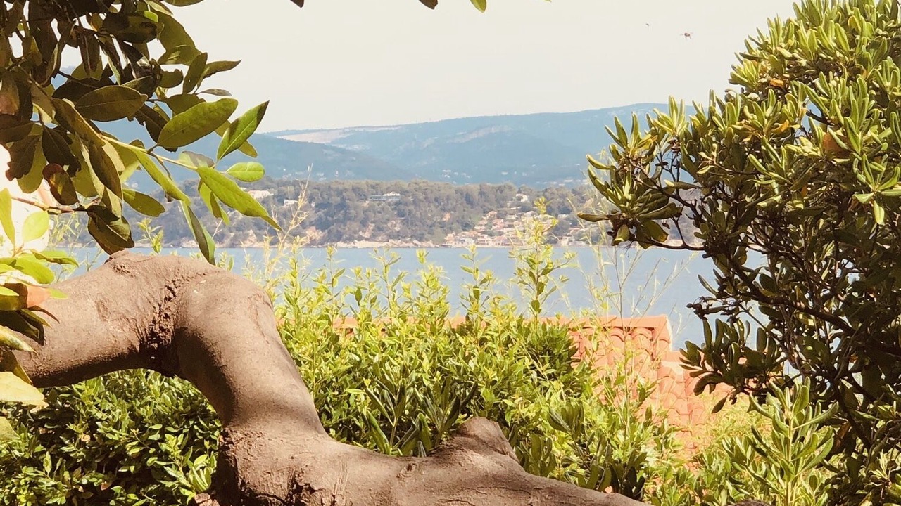 Photo of Outdoor in Le Pradet