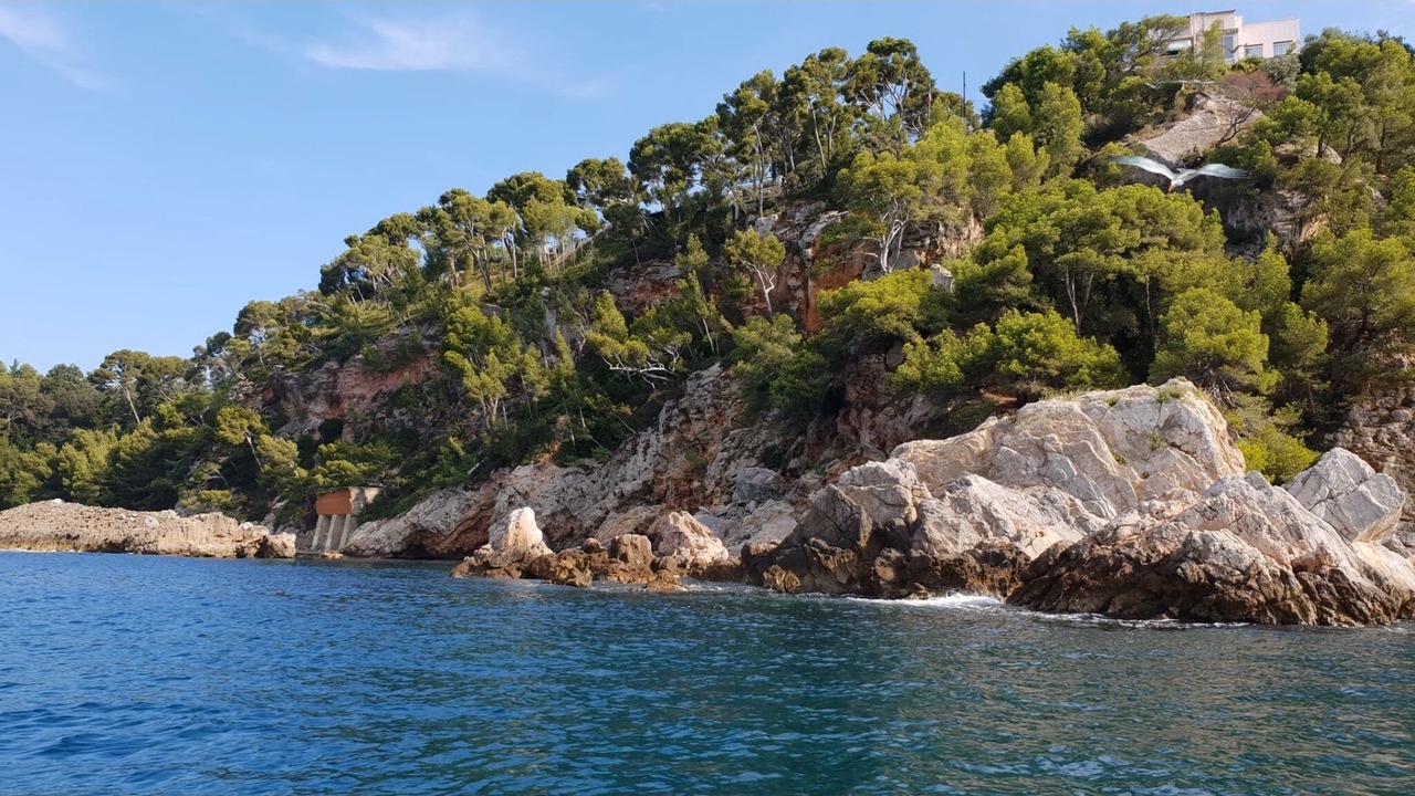 Photo of Others in Le Pradet