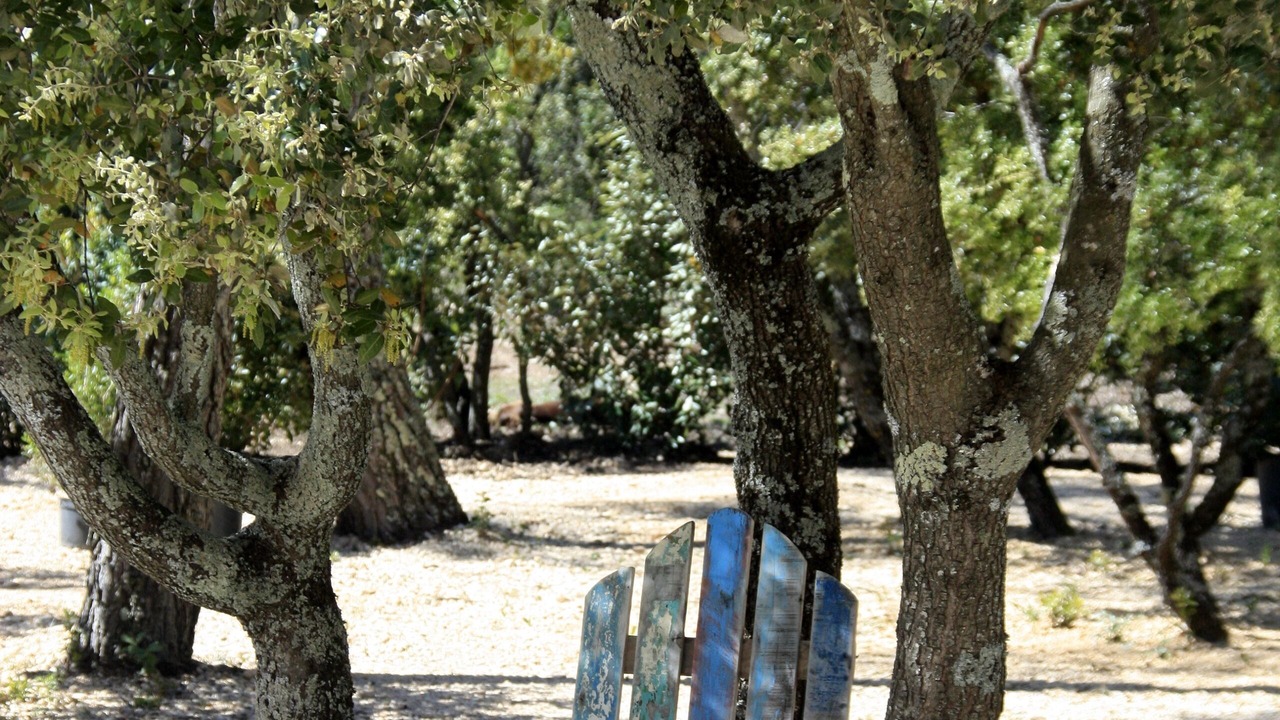 Photo of Outdoor in Saint-Saturnin-les-Apt