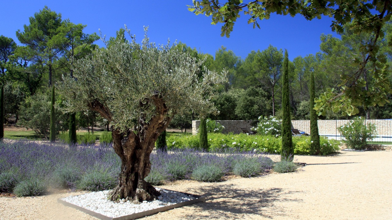 Photo of Outdoor in Saint-Saturnin-les-Apt