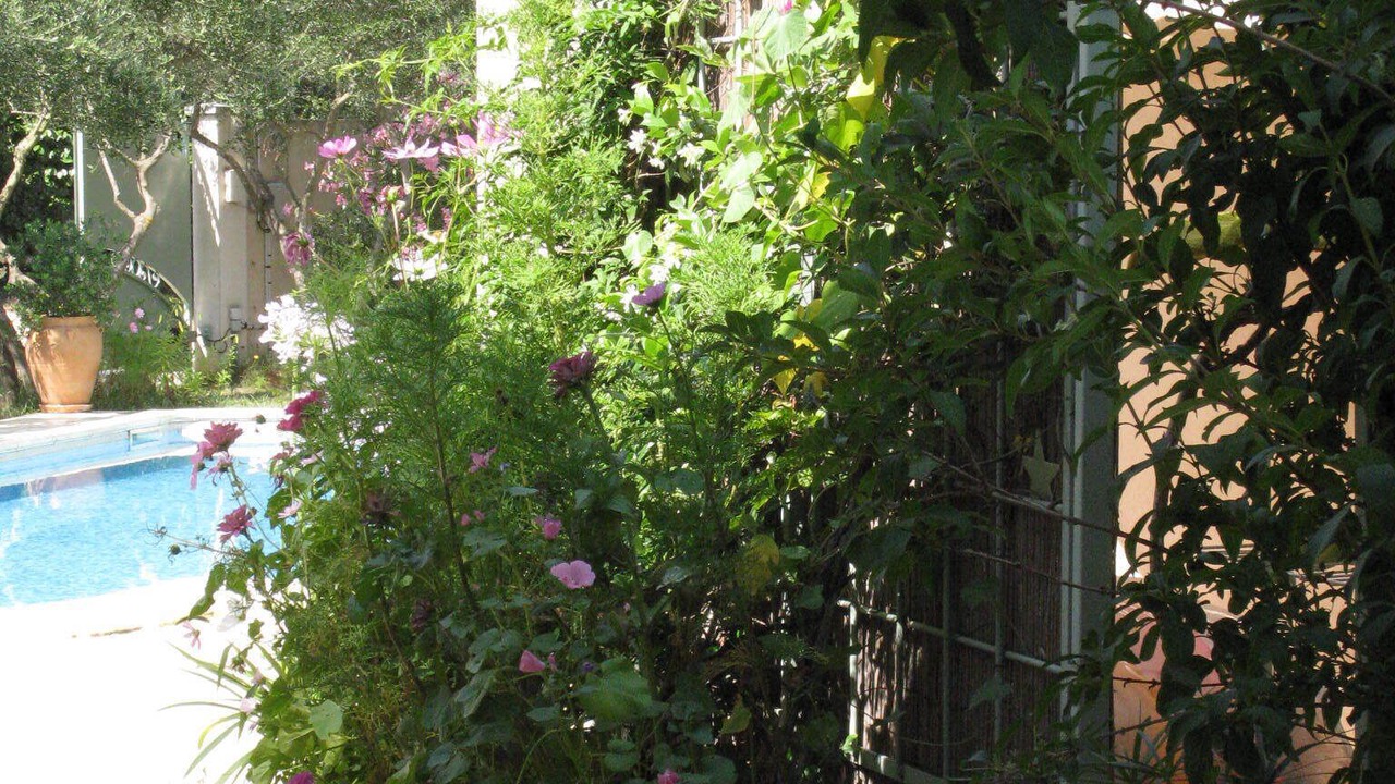 Photo of Outdoor in Comps