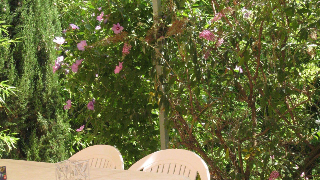 Photo of Outdoor in Comps