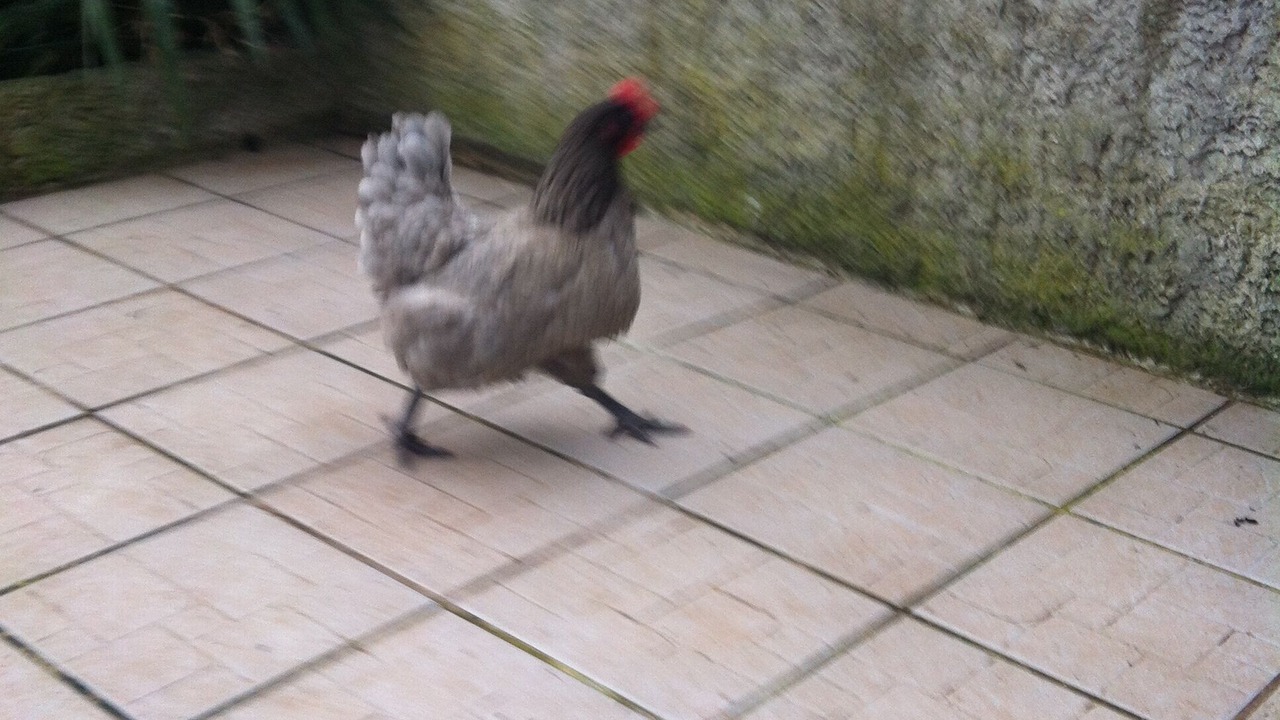 Photo of Outdoor in Marignane