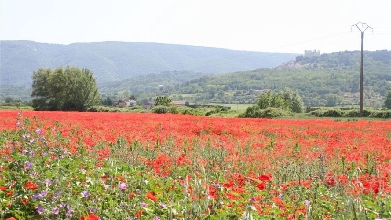 Photo of Others in Lourmarin