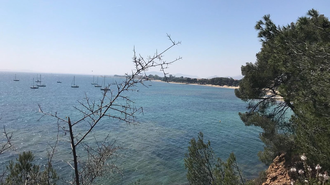 Photo of Others in La Londe-les-Maures