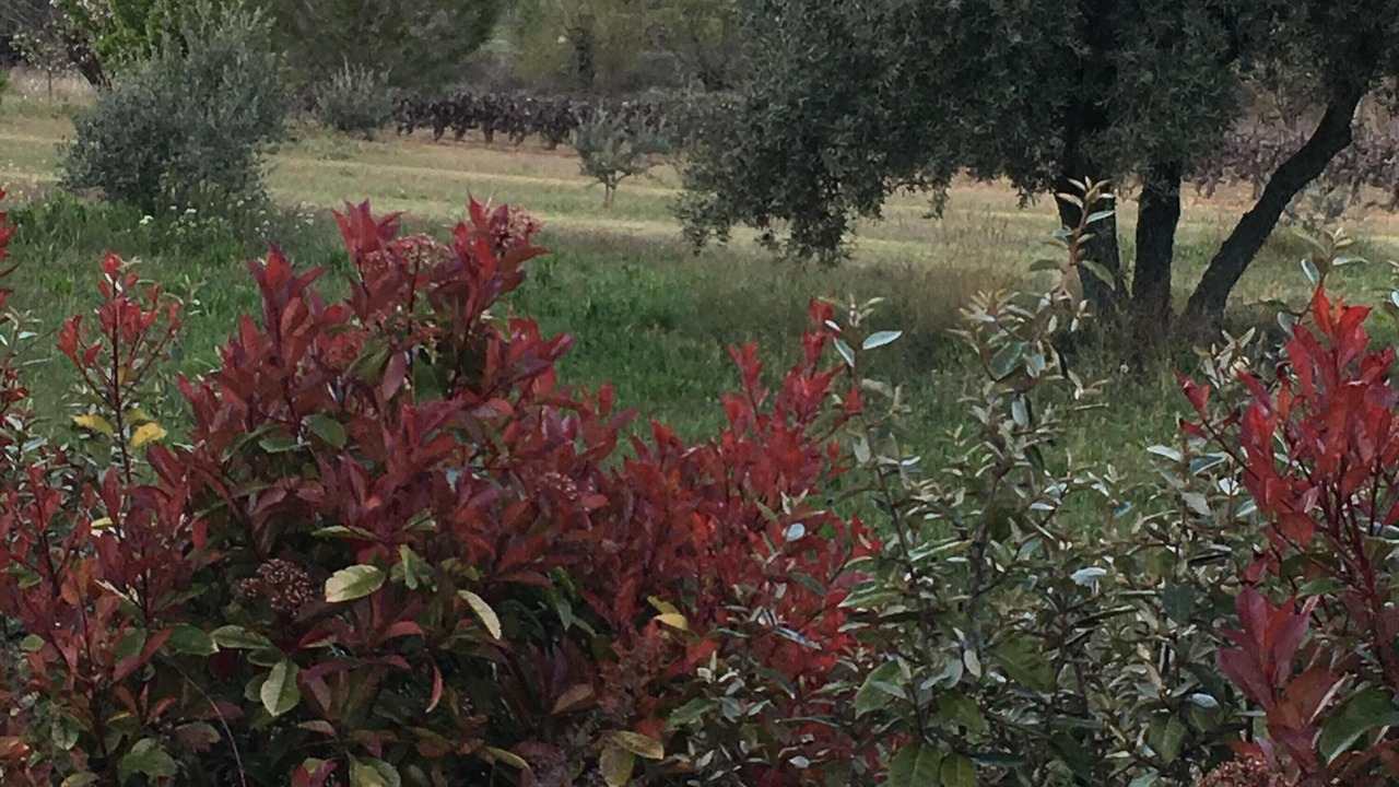 Photo of Outdoor in Lourmarin