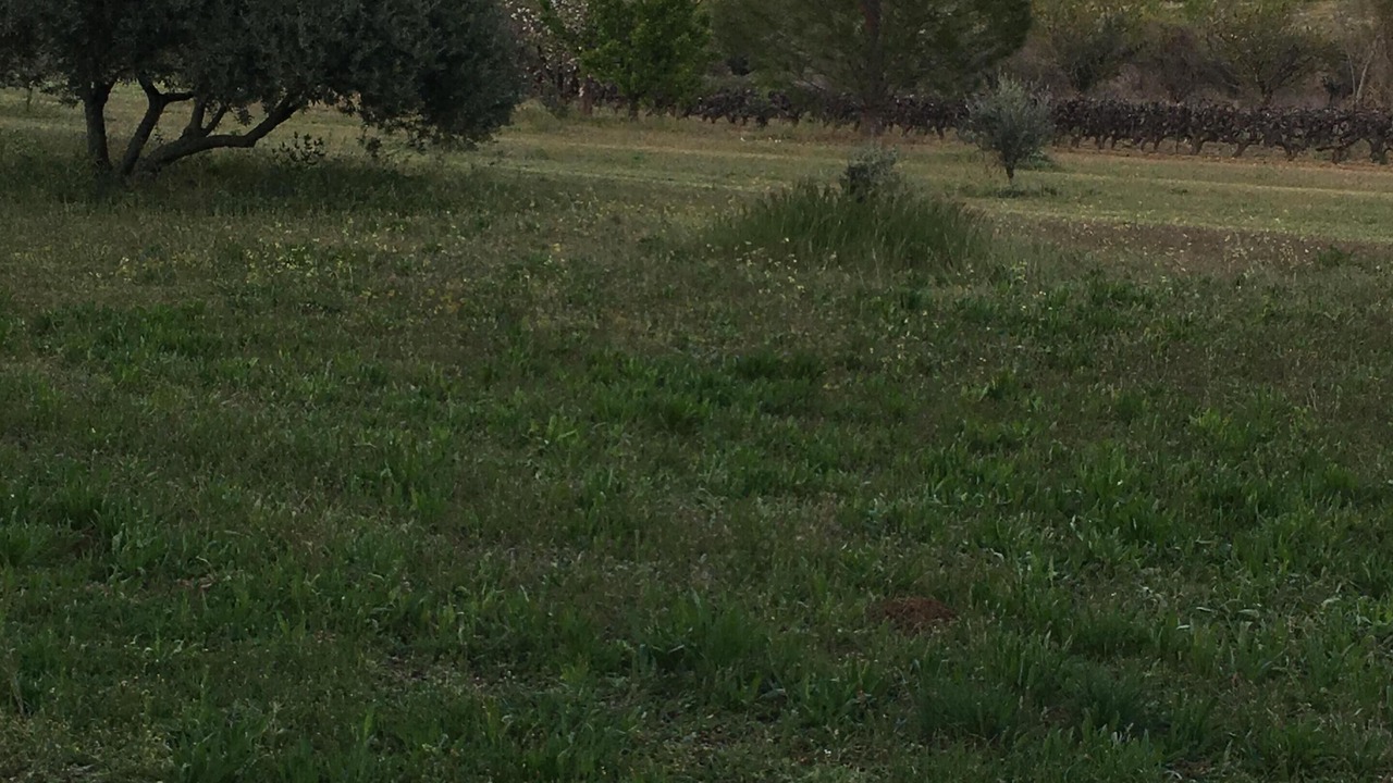 Photo of Outdoor in Lourmarin