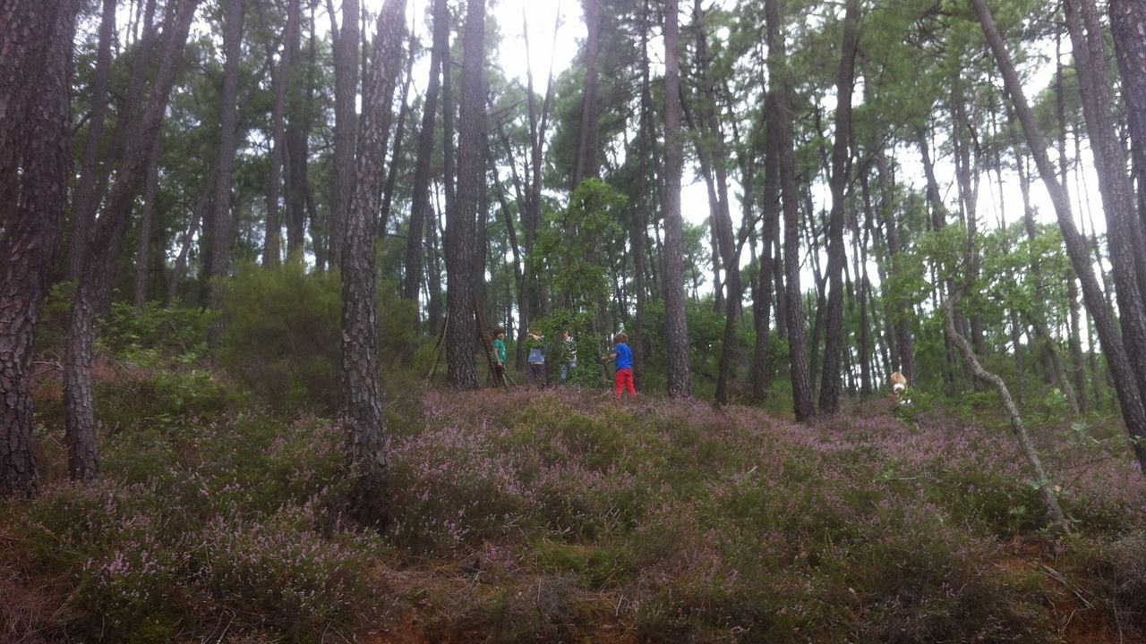 Photo of Others in Gargas