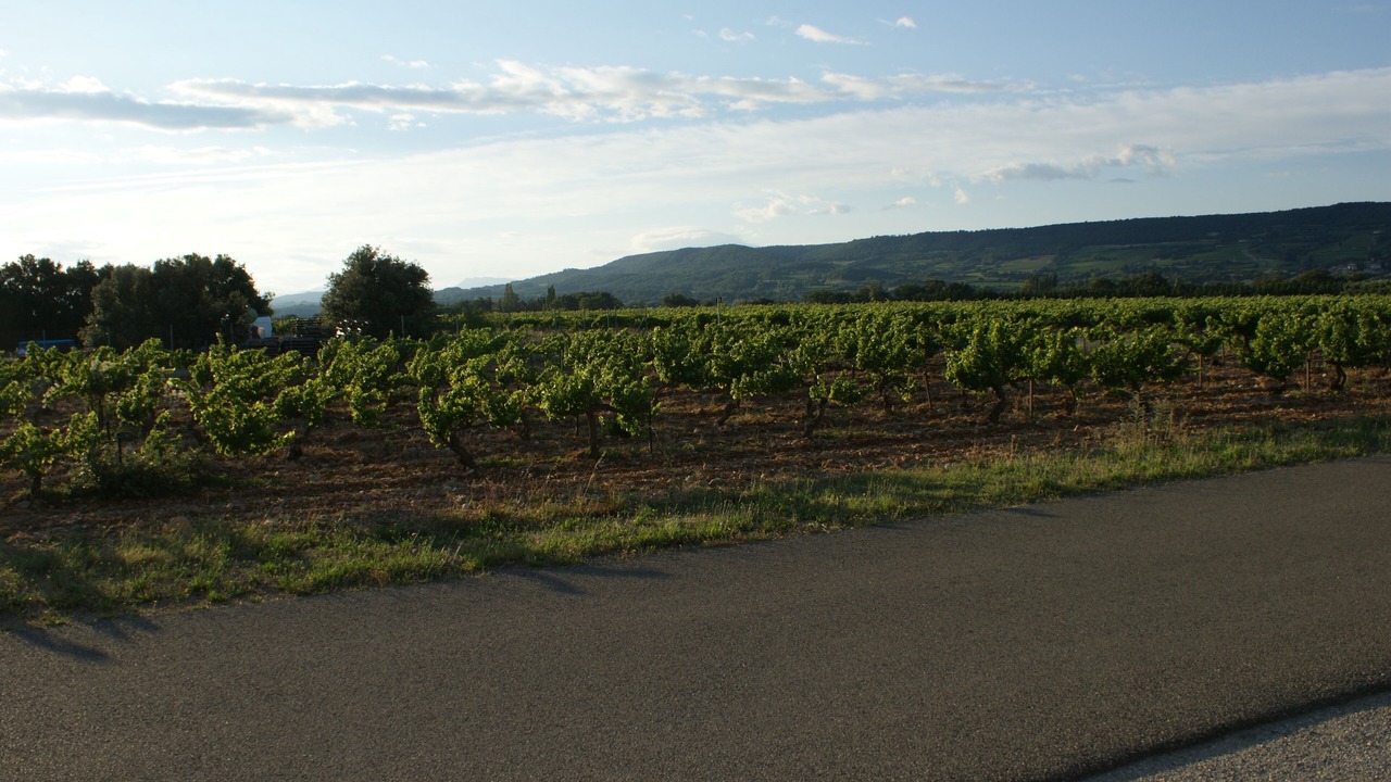 Photo of Others in Tulette
