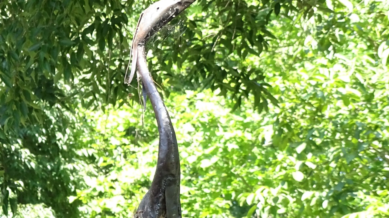 Photo of Outdoor in Velleron