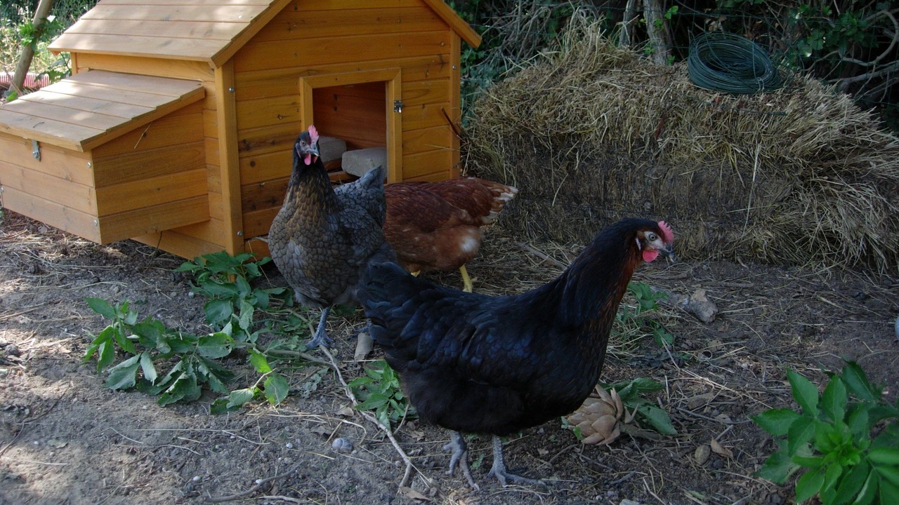Photo of Outdoor in Pernes-les-Fontaines