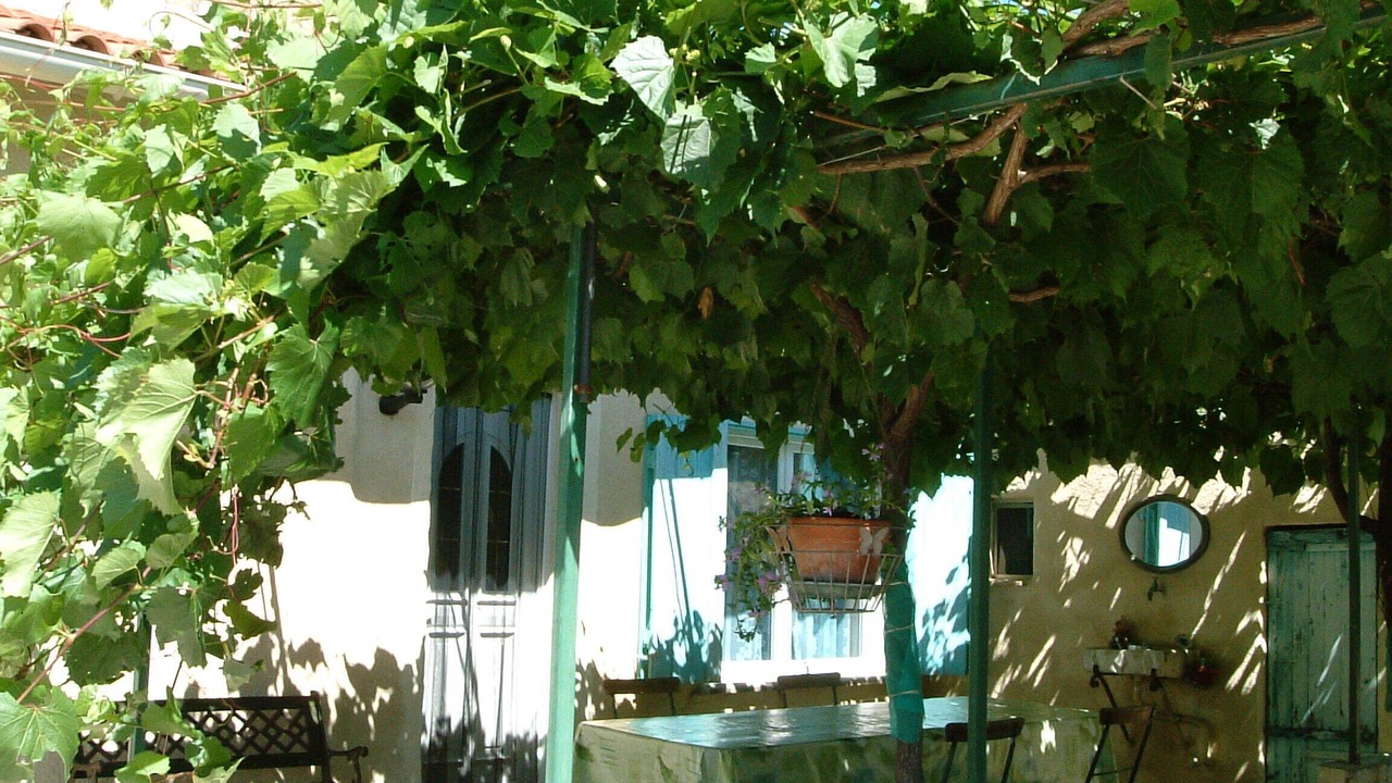 Photo of Outdoor in Paluds de Noves