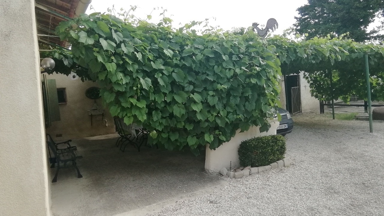 Photo of Outdoor in Paluds de Noves