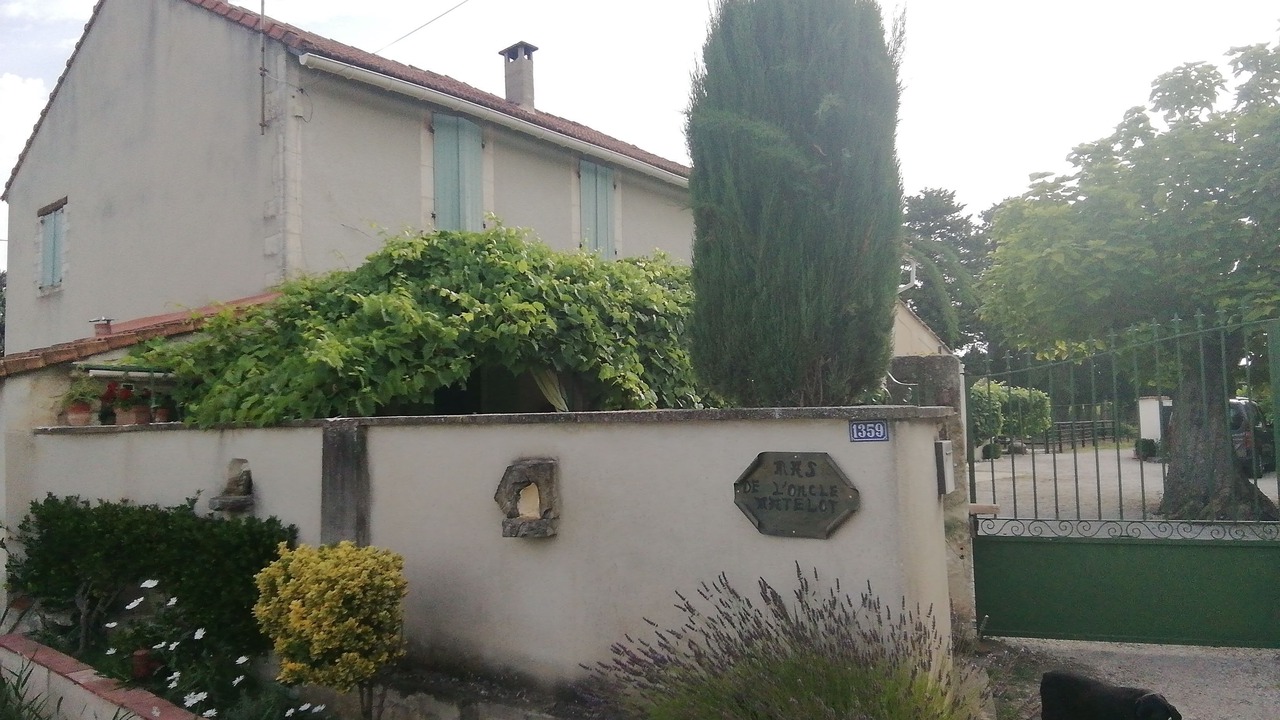 Photo of Outdoor in Paluds de Noves