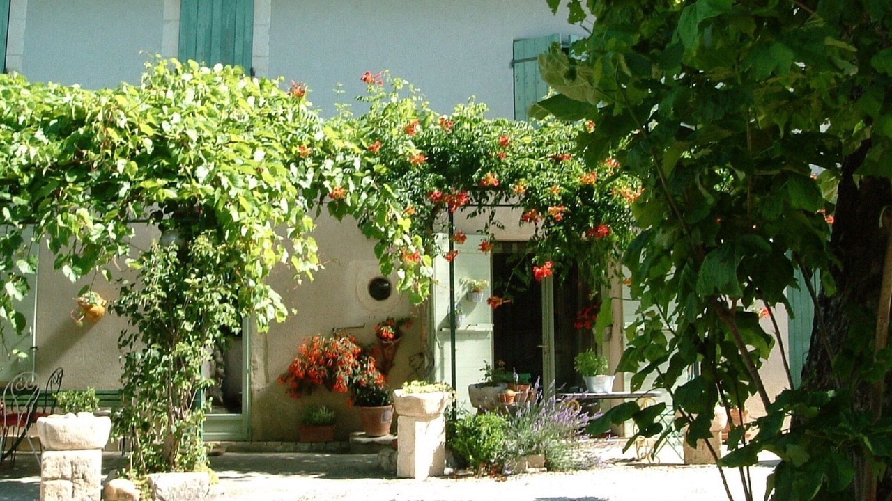 Photo of Outdoor in Paluds de Noves