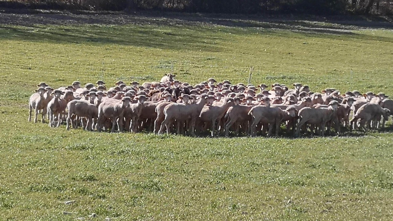 Photo of Others in Manosque