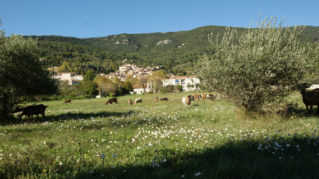 Photo of Outdoor in Seillans