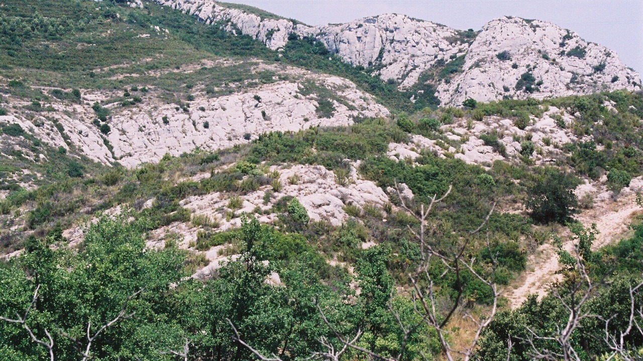 Photo of Outdoor in Peypin