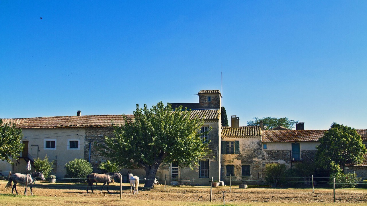 Photo of Outdoor in Saint-Gilles