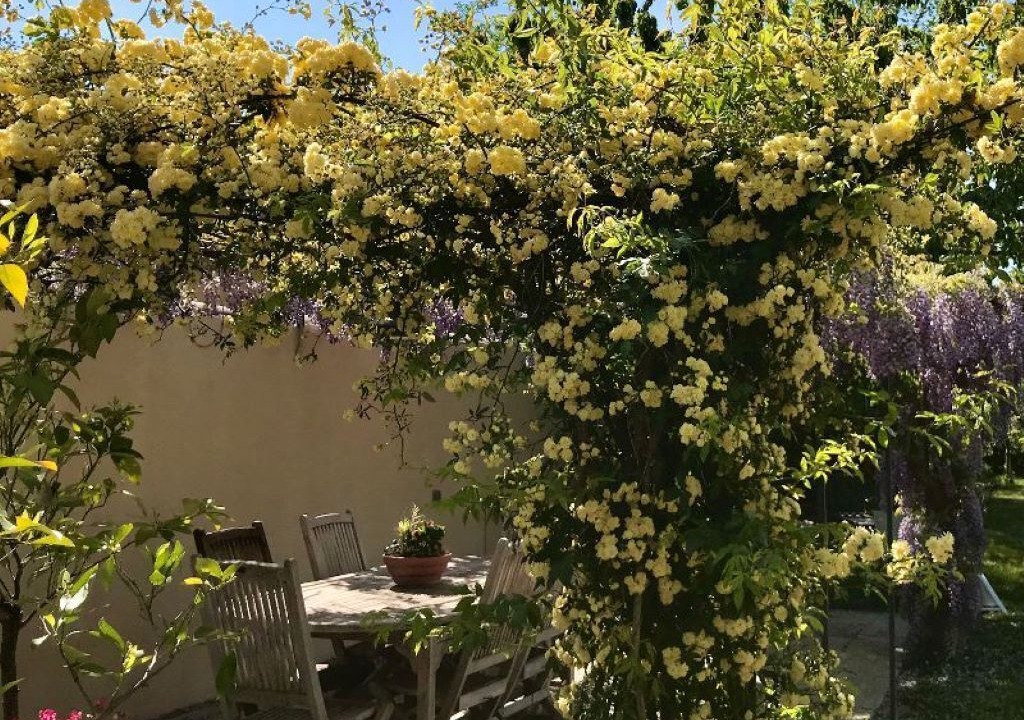 Photo of Outdoor in Orange