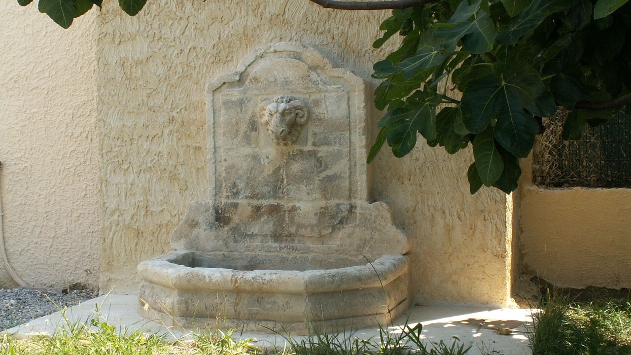 Photo of Outdoor in Monteux