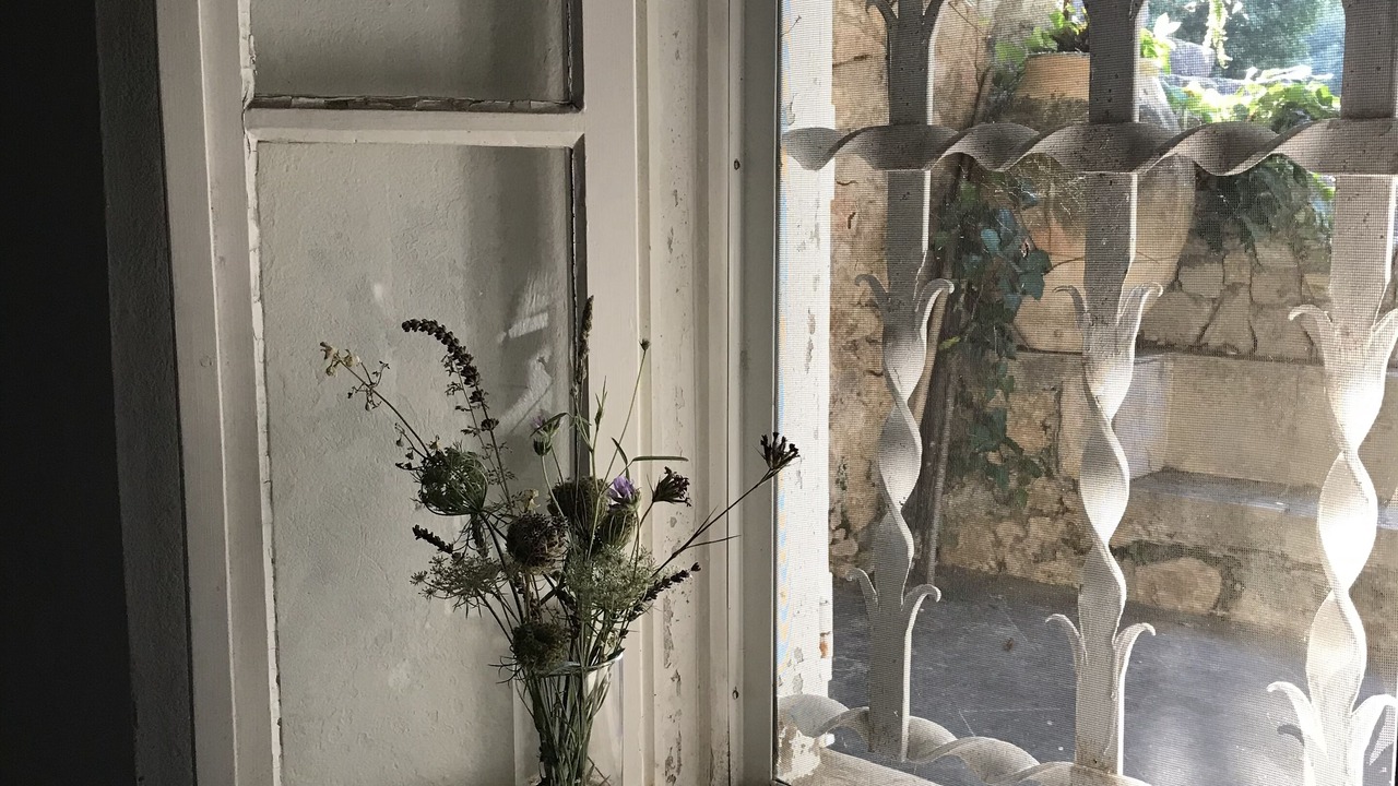 Photo of Others in Seillans