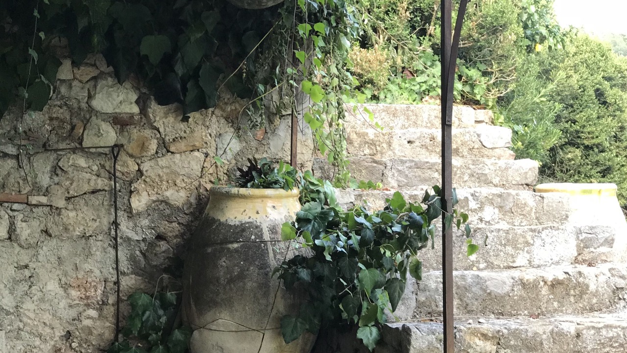 Photo of Outdoor in Seillans