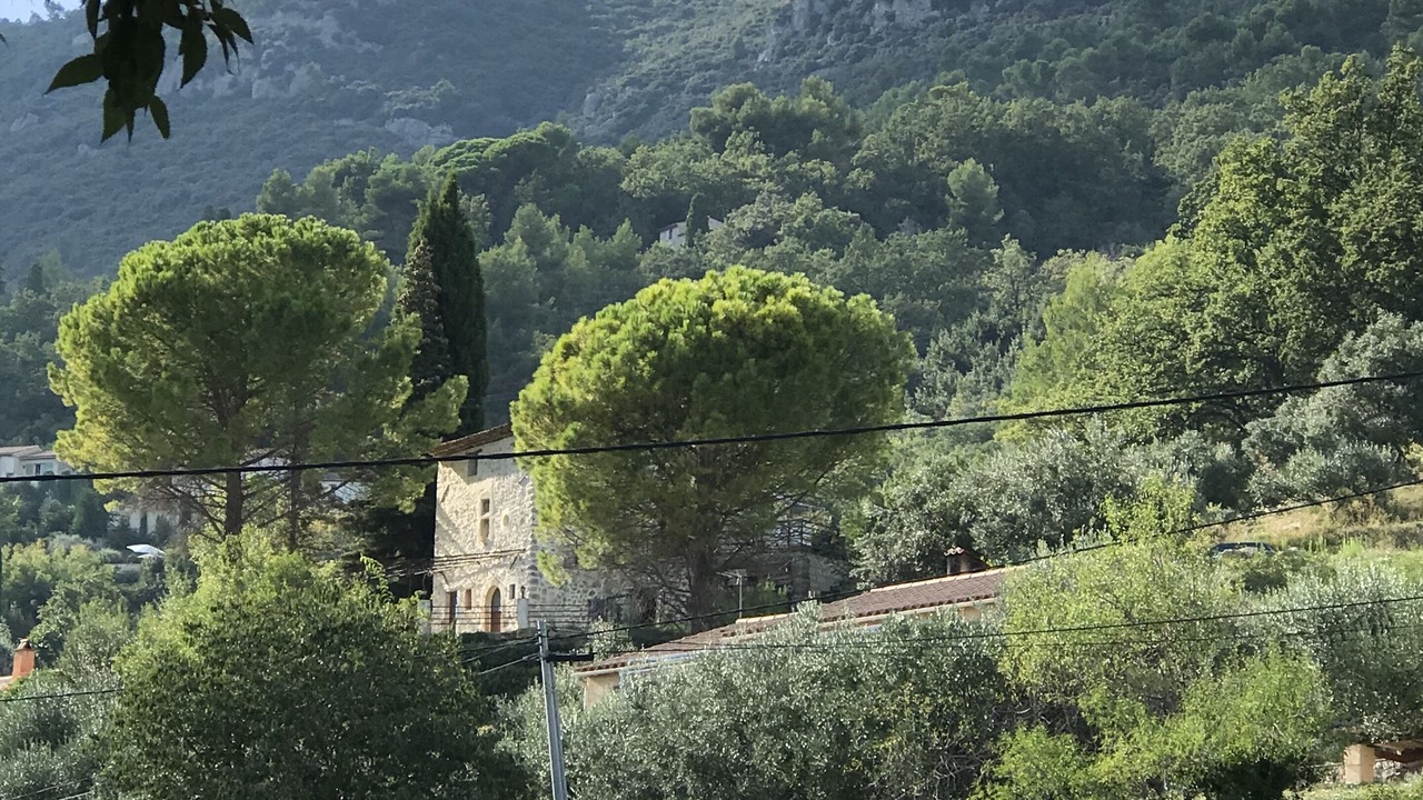 Photo of Outdoor in Seillans