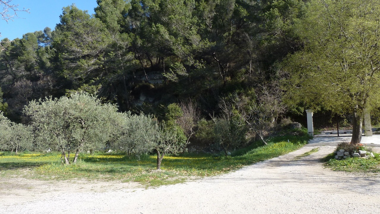 Photo of Outdoor in Eguilles