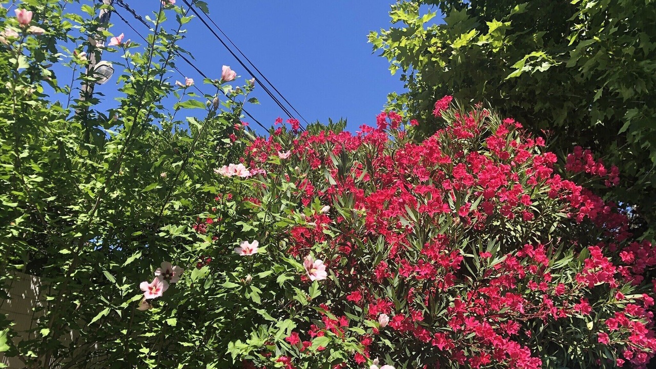 Photo of Outdoor in 8th Arrondissement