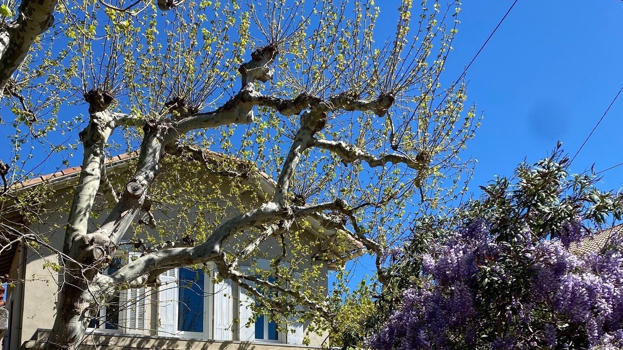 Photo of Outdoor in 8th Arrondissement